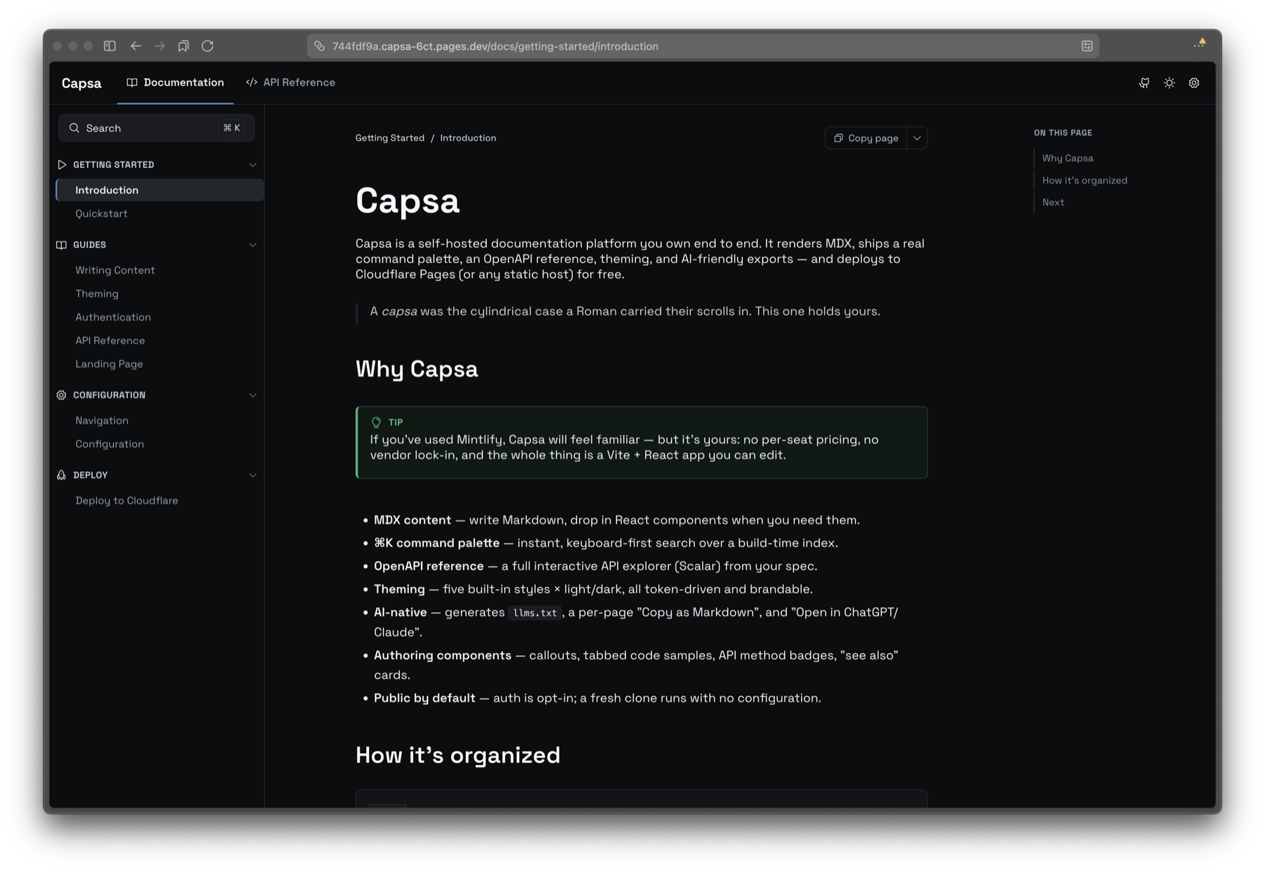 Capsa documentation page — sidebar nav, table of contents, themed content